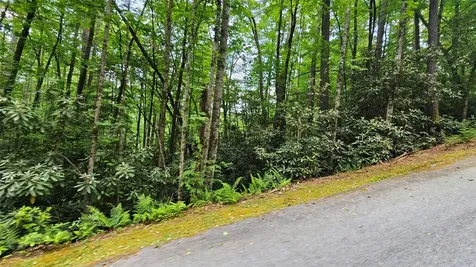 L162 Sunrise Court Sapphire NC 28774