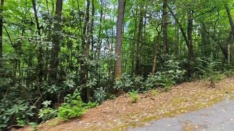 L162 Sunrise Court Sapphire NC 28774