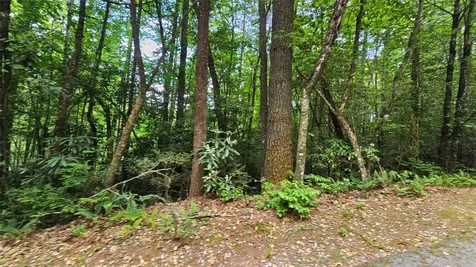 L162 Sunrise Court Sapphire NC 28774