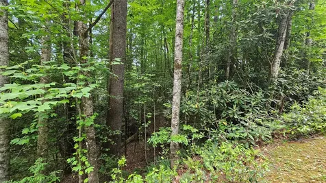 L162 Sunrise Court Sapphire NC 28774