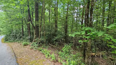 L162 Sunrise Court Sapphire NC 28774