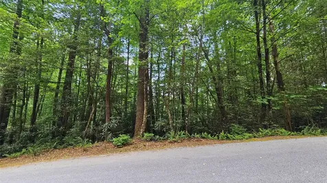 L162 Sunrise Court Sapphire NC 28774