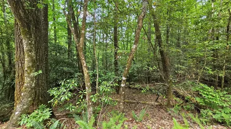 L162 Sunrise Court Sapphire NC 28774