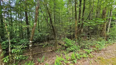 L162 Sunrise Court Sapphire NC 28774