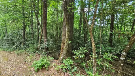 L162 Sunrise Court Sapphire NC 28774