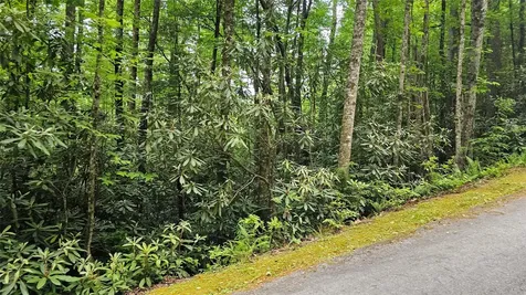 L162 Sunrise Court Sapphire NC 28774