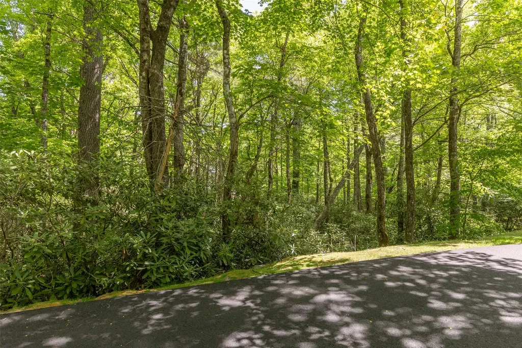 125 Cove View Drive Highlands NC 28741