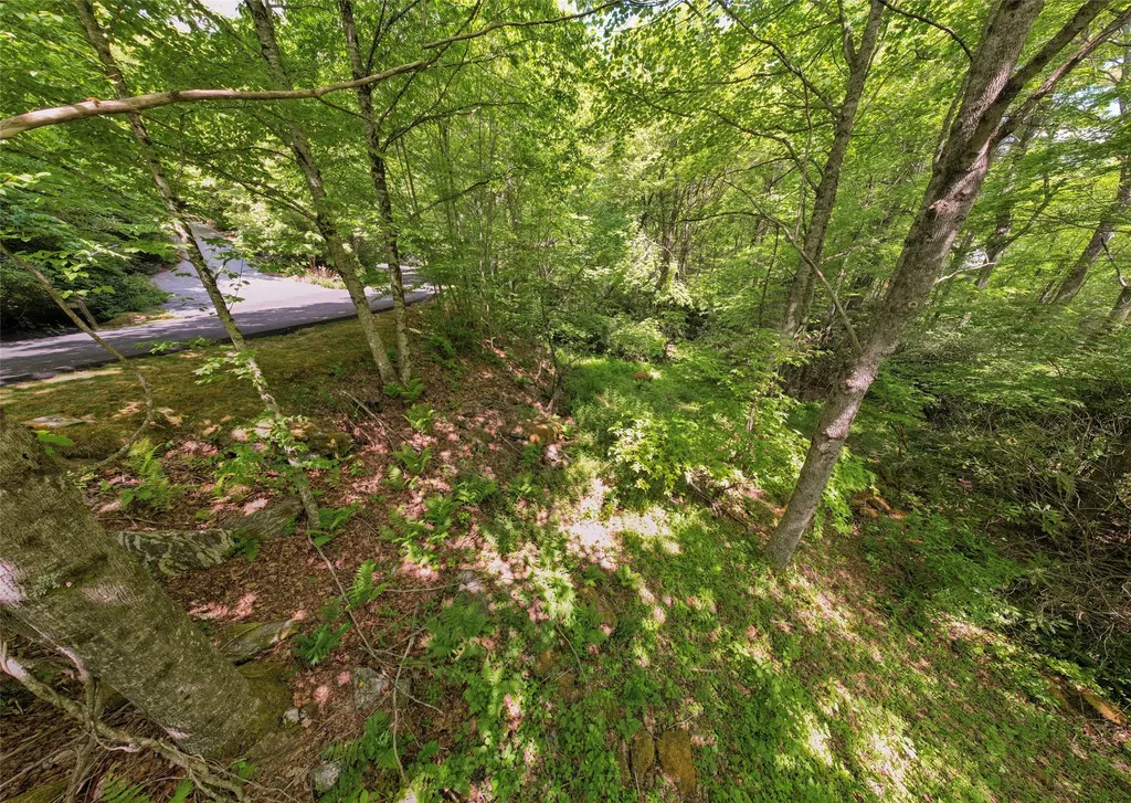 125 Cove View Drive Highlands NC 28741