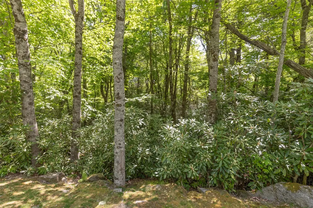 124 Cove View Drive Highlands NC 28741