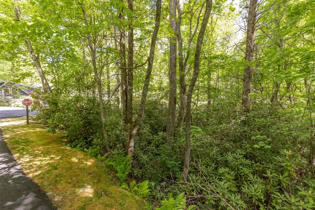 124 Cove View Drive Highlands NC 28741
