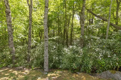 124 Cove View Drive Highlands NC 28741
