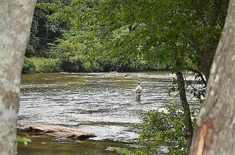98 Eagle Watch Drive Tuckasegee NC 28783