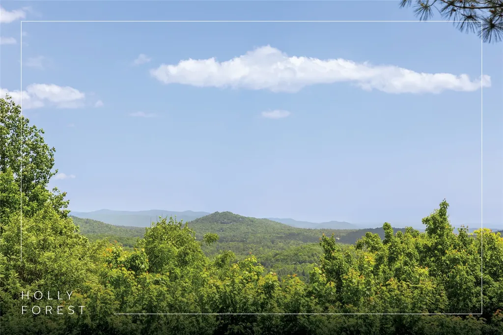 165 Birdnest Road Sapphire NC 28774