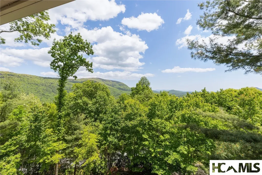 165 Birdnest Road Sapphire NC 28774