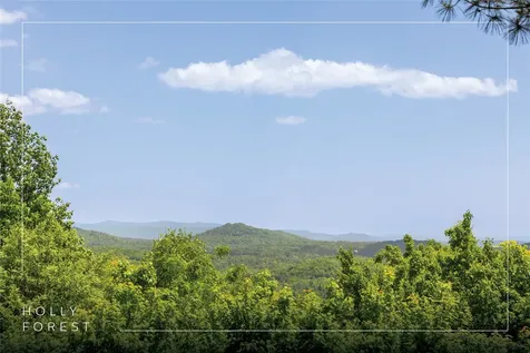 165 Birdnest Road Sapphire NC 28774