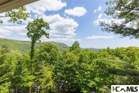 165 Birdnest Road Sapphire NC 28774