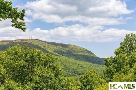 165 Birdnest Road Sapphire NC 28774