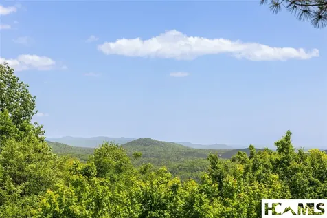 165 Birdnest Road Sapphire NC 28774