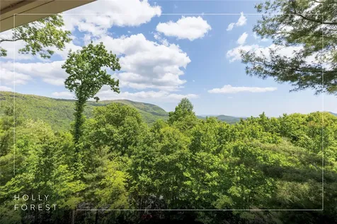 165 Birdnest Road Sapphire NC 28774
