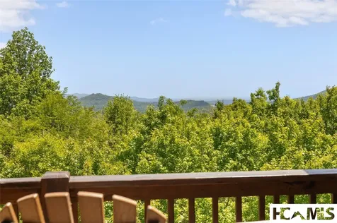 165 Birdnest Road Sapphire NC 28774