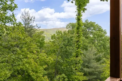 165 Birdnest Road Sapphire NC 28774
