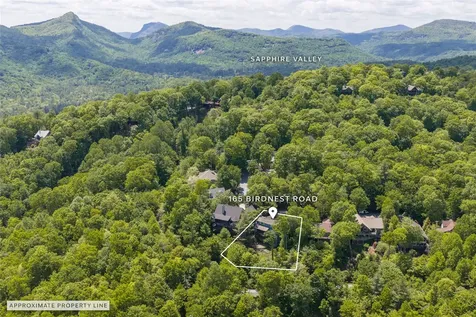 165 Birdnest Road Sapphire NC 28774