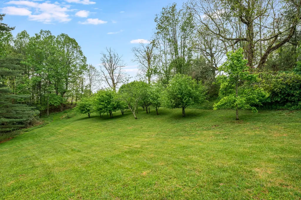476 Winfield Farm Road Scaly Mountain NC 28775