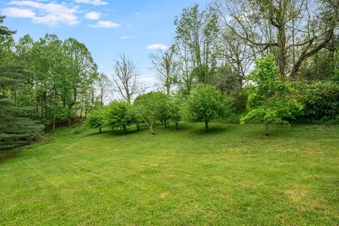 476 Winfield Farm Road Scaly Mountain NC 28775