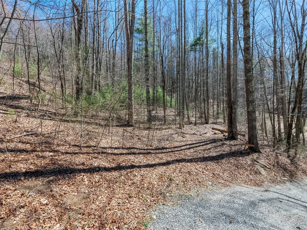 120 Nips Way Cullowhee NC 28723