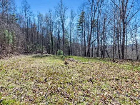 120 Nips Way Cullowhee NC 28723