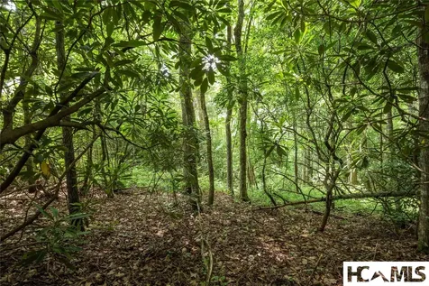 Lot 78 Rushing Brook Lane Glenville NC 28736