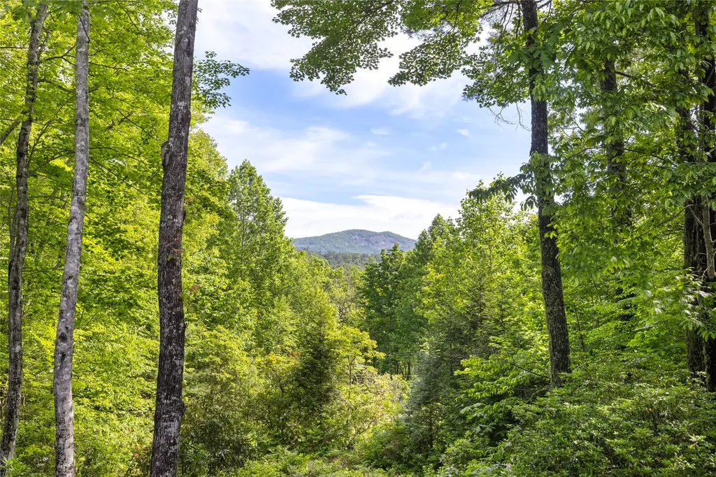 141 Old Ford Road Cashiers NC 28717