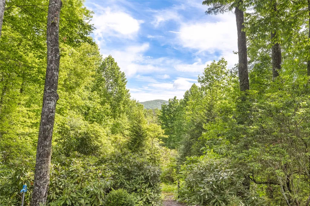 141 Old Ford Road Cashiers NC 28717