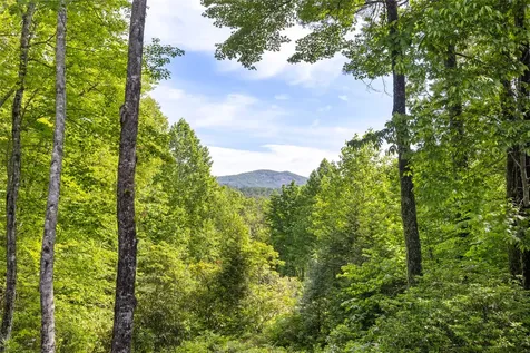 141 Old Ford Road Cashiers NC 28717