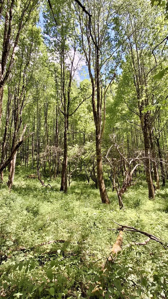000 Cold Mountain Road Highlands NC 28741