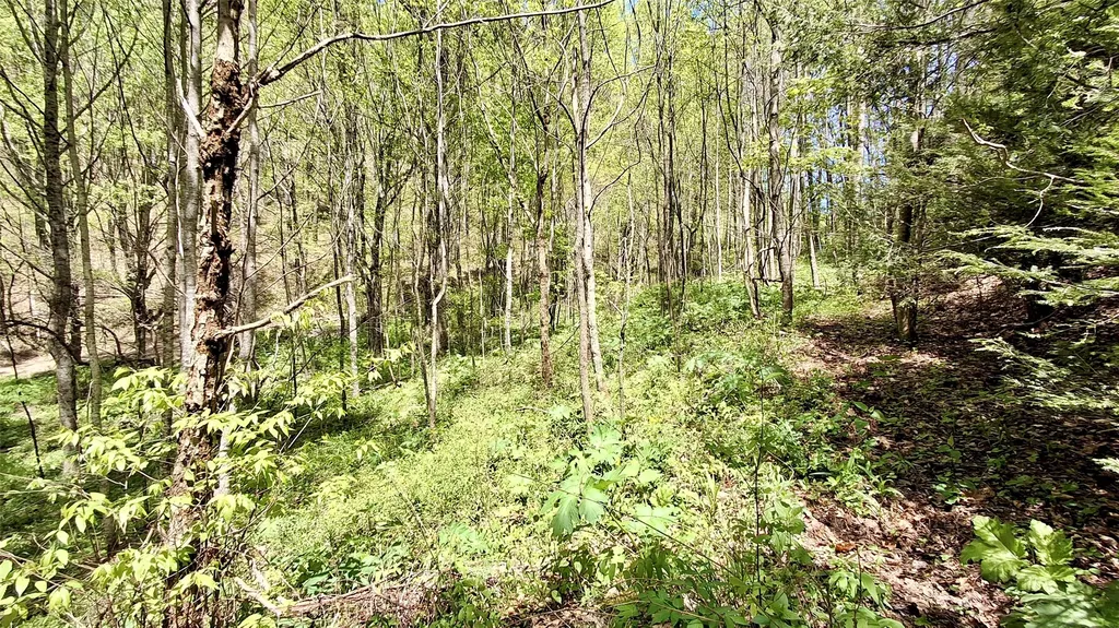 000 Cold Mountain Road Highlands NC 28741