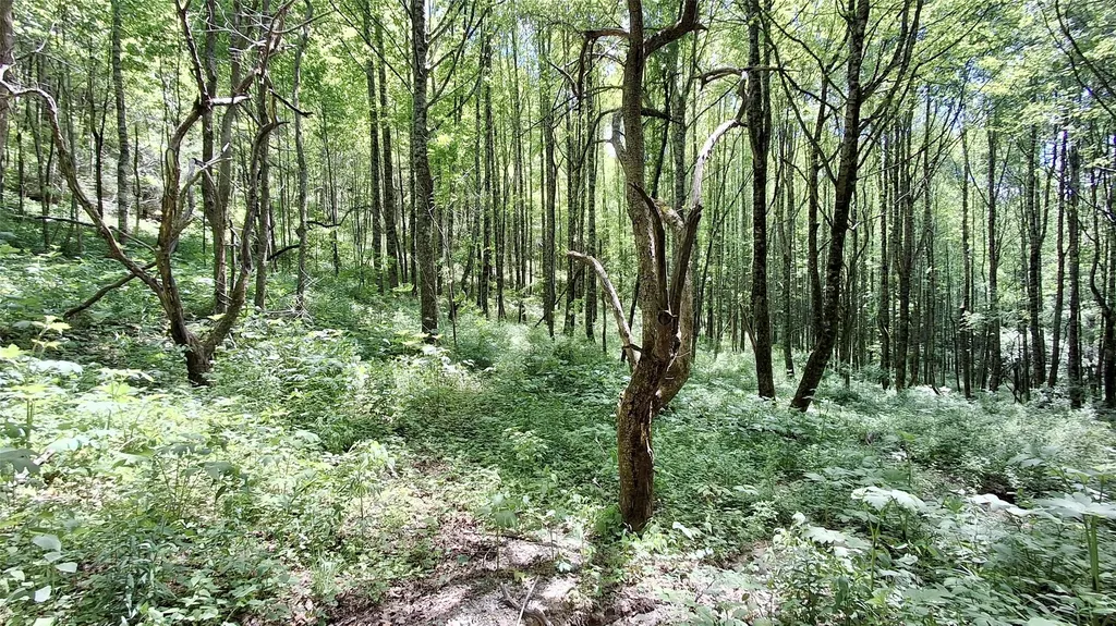 000 Cold Mountain Road Highlands NC 28741