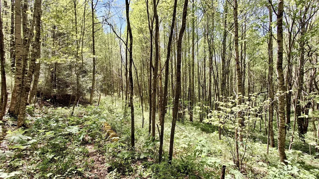 000 Cold Mountain Road Highlands NC 28741