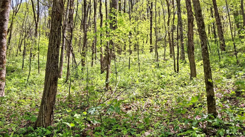 000 Cold Mountain Road Highlands NC 28741