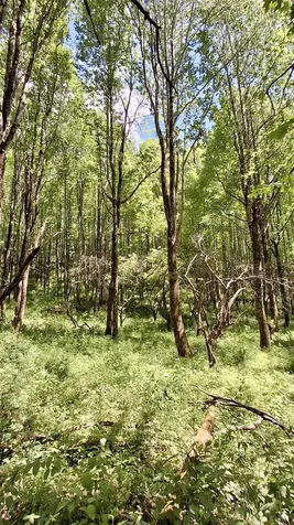 000 Cold Mountain Road Highlands NC 28741