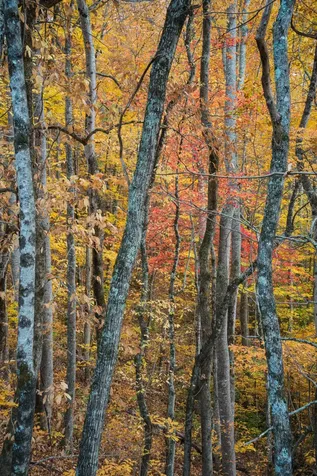 000 Cold Mountain Road Highlands NC 28741