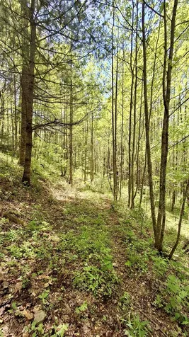 000 Cold Mountain Road Highlands NC 28741