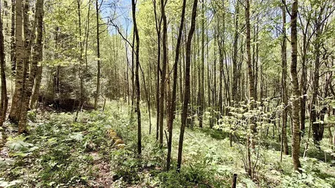 000 Cold Mountain Road Highlands NC 28741