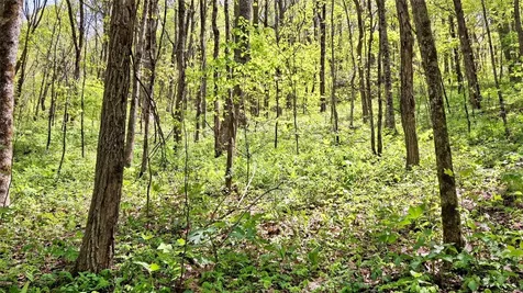 000 Cold Mountain Road Highlands NC 28741