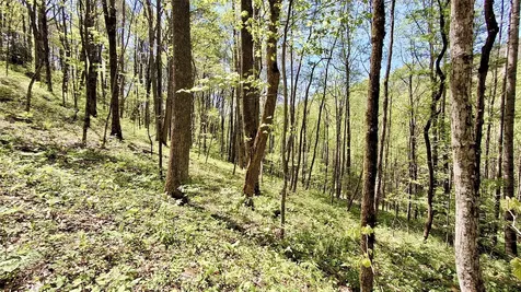 000 Cold Mountain Road Highlands NC 28741