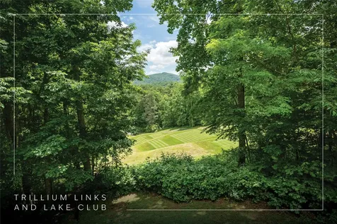 92 Audubon Trail Cashiers NC 28717