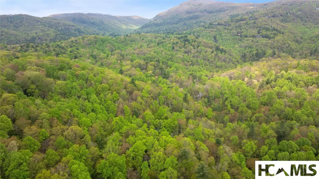 205 Hickory Drive Sapphire NC 28774