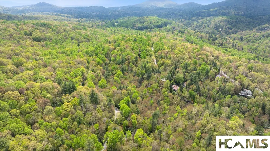 205 Hickory Drive Sapphire NC 28774
