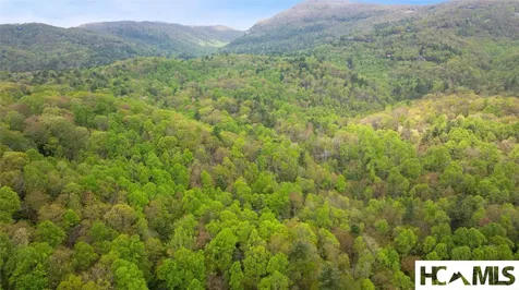 205 Hickory Drive Sapphire NC 28774
