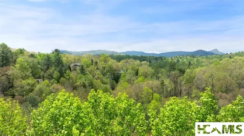 205 Hickory Drive Sapphire NC 28774